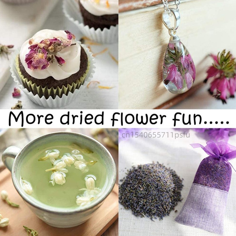 ดอกมะลิแห้งคุณภาพสูงจากธรรมชาต - Chamomile Tea บทวิจารณ์และราคา